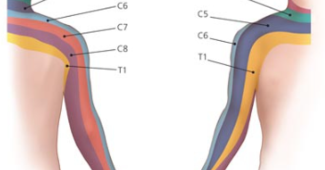 Neck Injuries and Effective Treatment Options